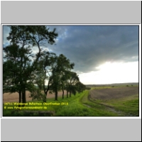 16711 Weinberge Bullenheim Oberfranken 2010.JPG